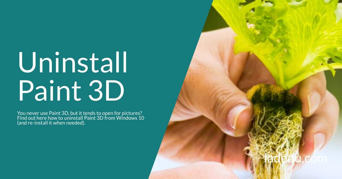 Uninstall Paint 3D Uninstall Paint 3D