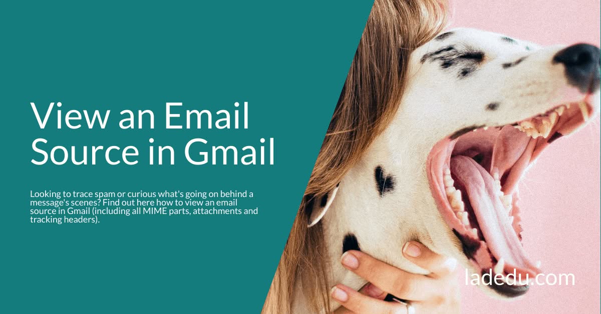 View an Email Source in Gmail: Here's How