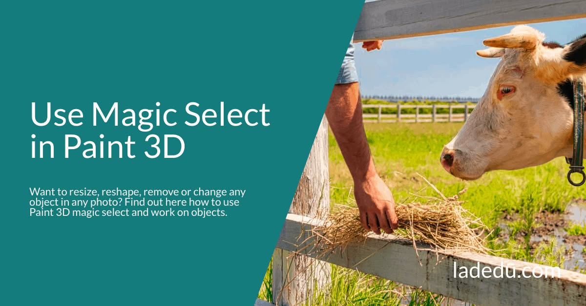 Use Magic Select in Paint 3D Use Magic Select in Paint 3D