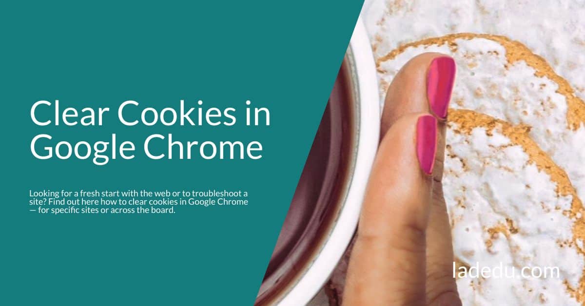 Clear Cookies in Google Chrome