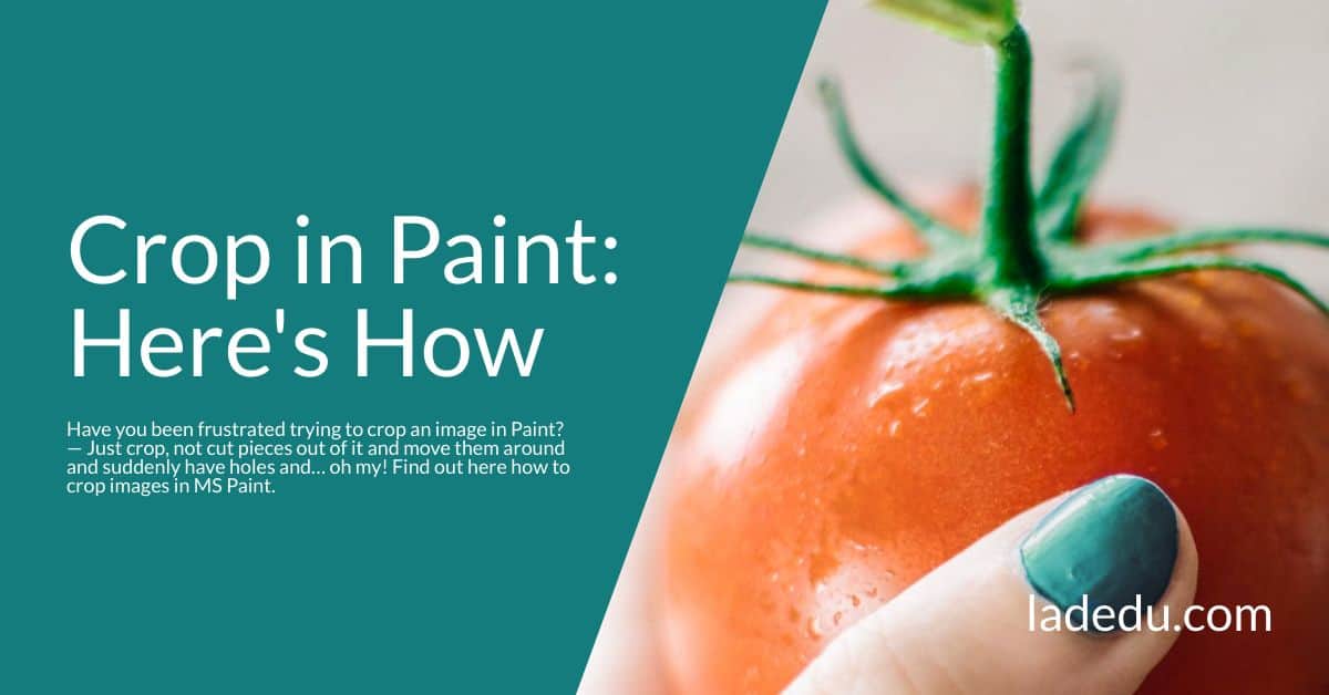 How to Crop Images in Paint