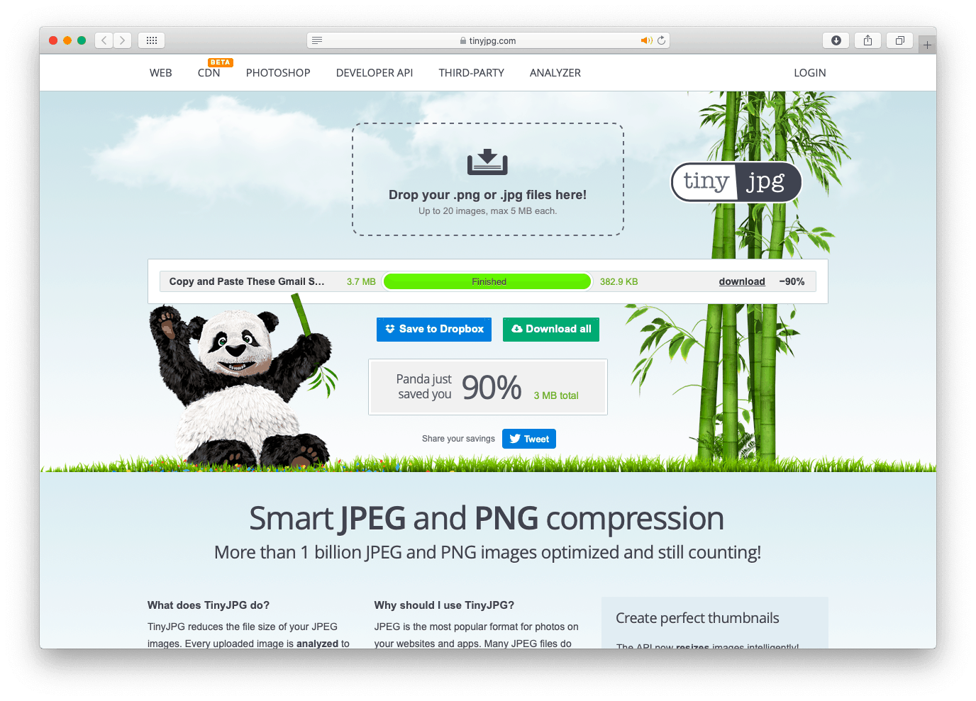 TinyJPG - Simple Online Image Compression Alternative