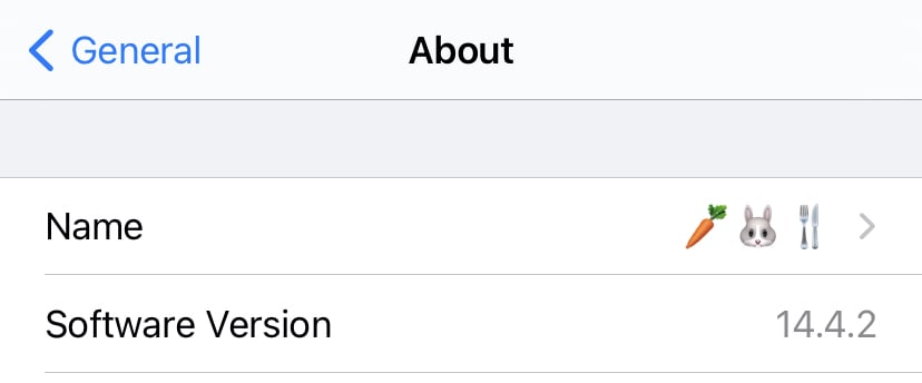 You can use emoji and special characters in your iPhone name