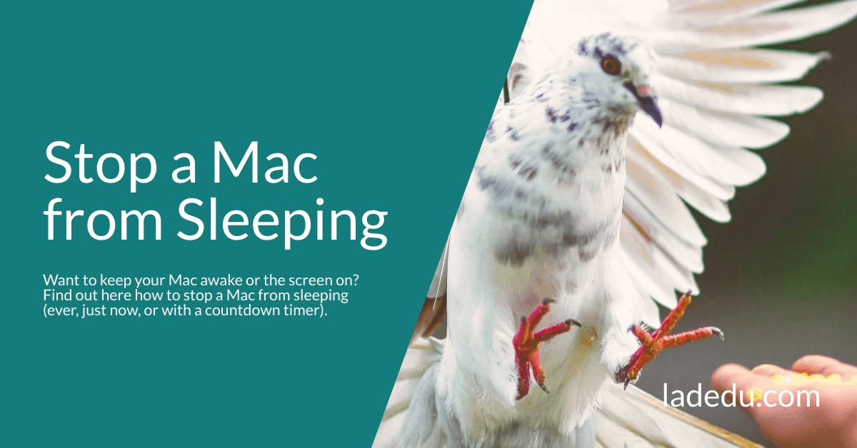 Stop a Mac from Sleeping