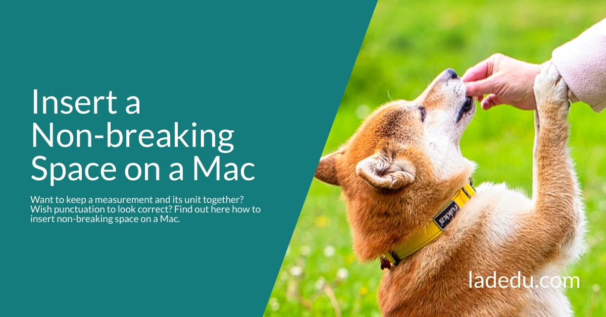 Insert a Non-breaking Space on a Mac