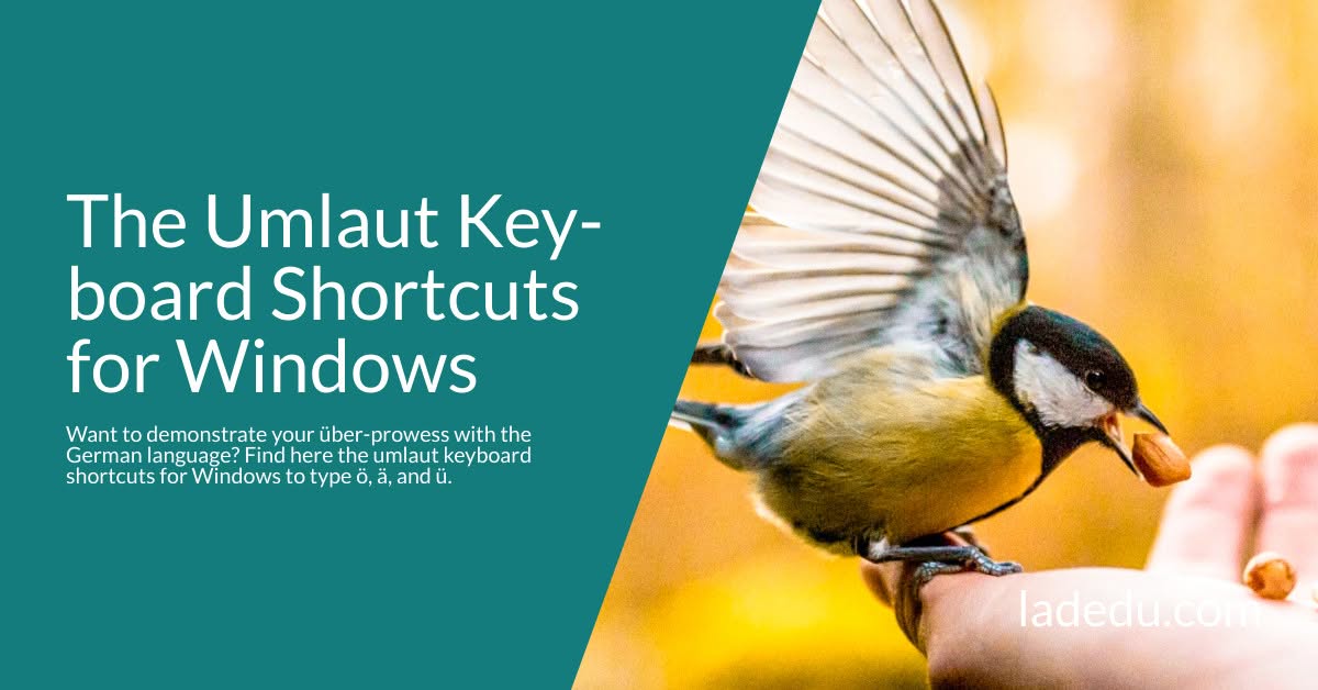 The Umlaut Keyboard Shortcuts for Windows