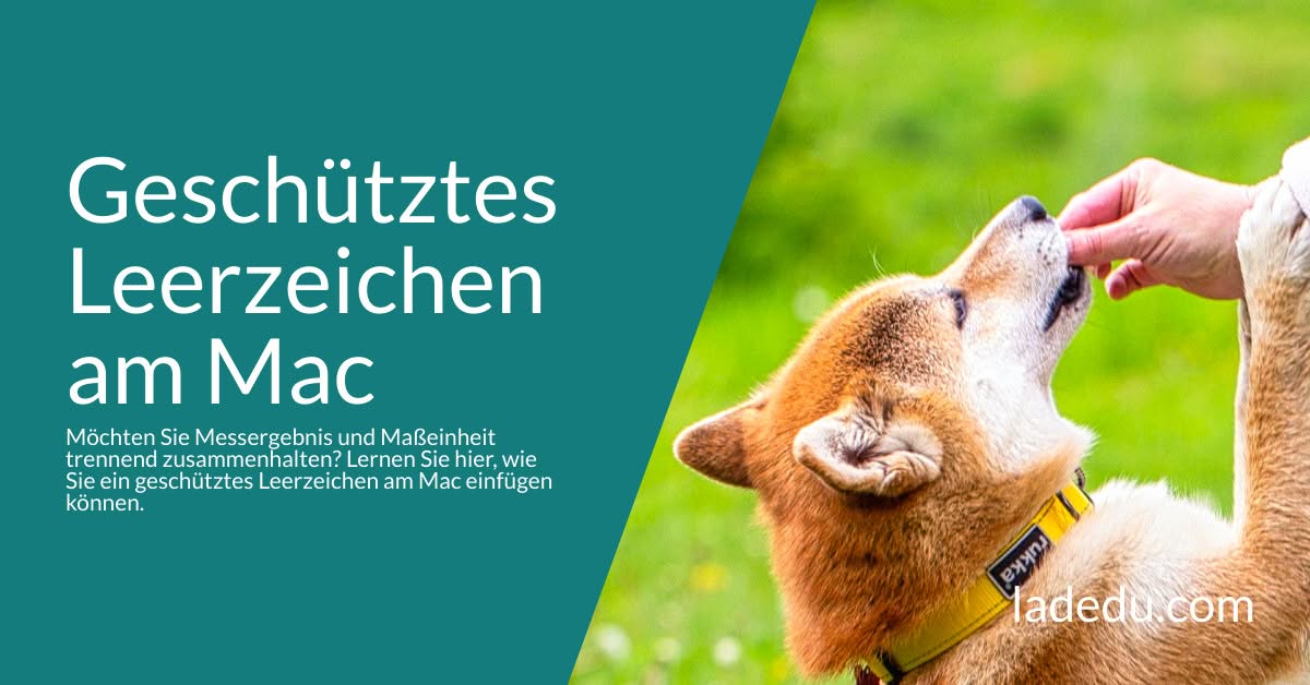 Geschütztes Leerzeichen am Mac Geschütztes Leerzeichen am Mac