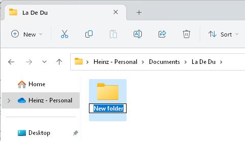 Name a new folder on Windows 11