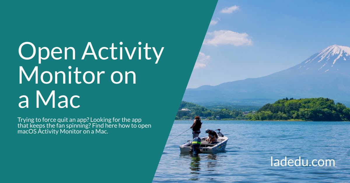 Open Activity Monitor on a Mac