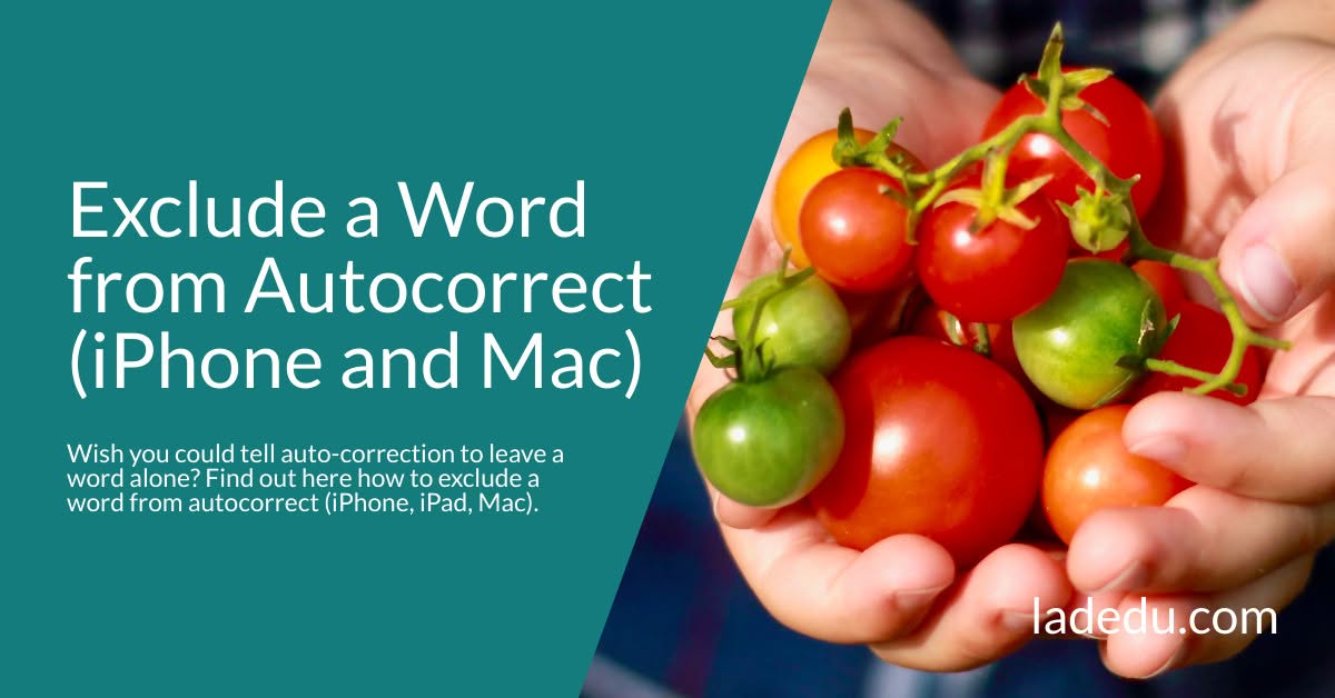 How to Exclude a Word from Autocorrect (iPhone and Mac)