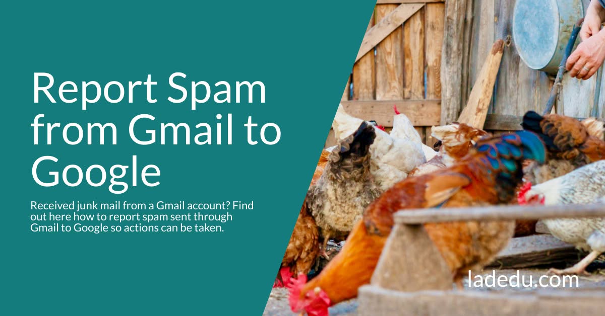 How to Report Spam from Gmail to Google