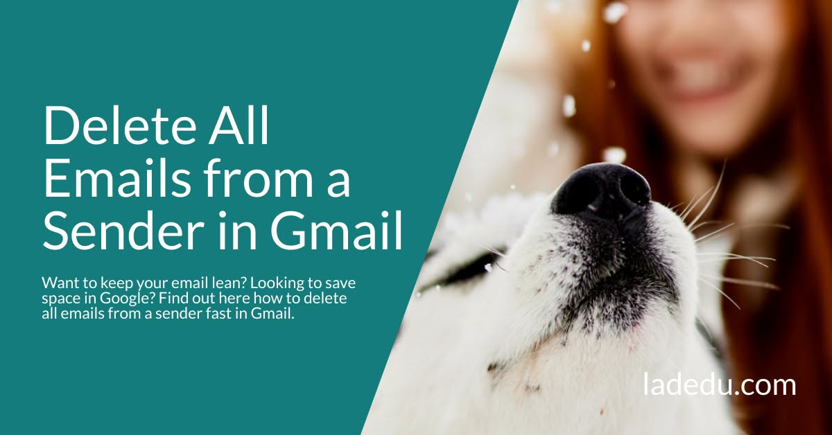 How to Delete All Emails from a Sender in Gmail