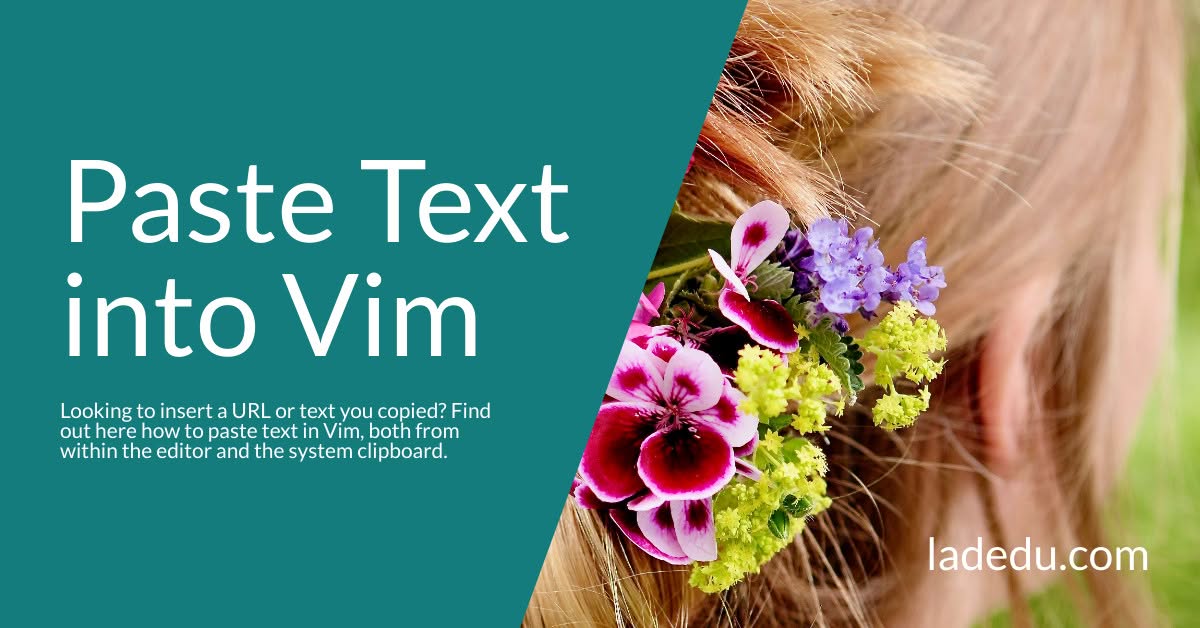 How to Paste Text into Vim