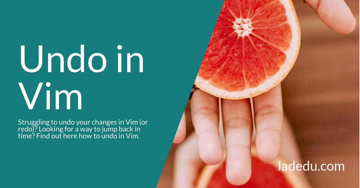 How to Undo in Vim