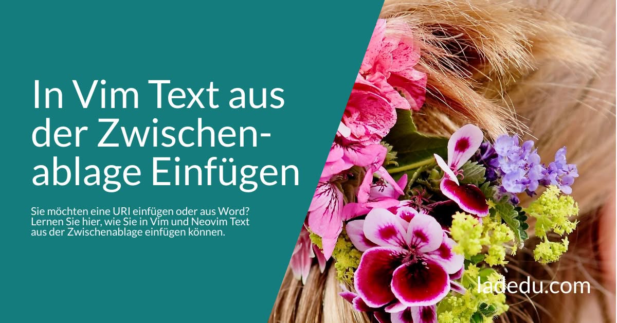 In Vim Text aus der Zwischenablage Einfügen