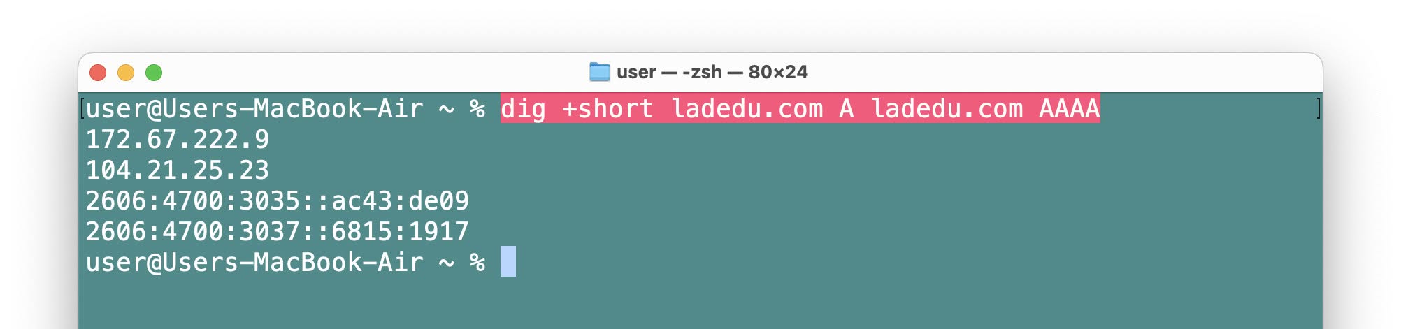 Look up a domain’s IP address using dig on a Mac