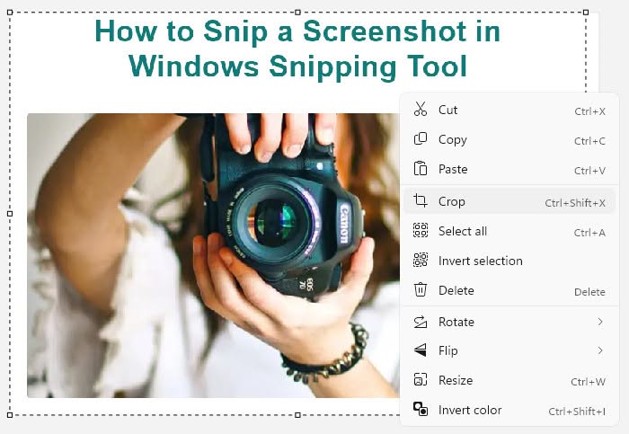 Crop the pasted image to prepare it for saving in MS Paint