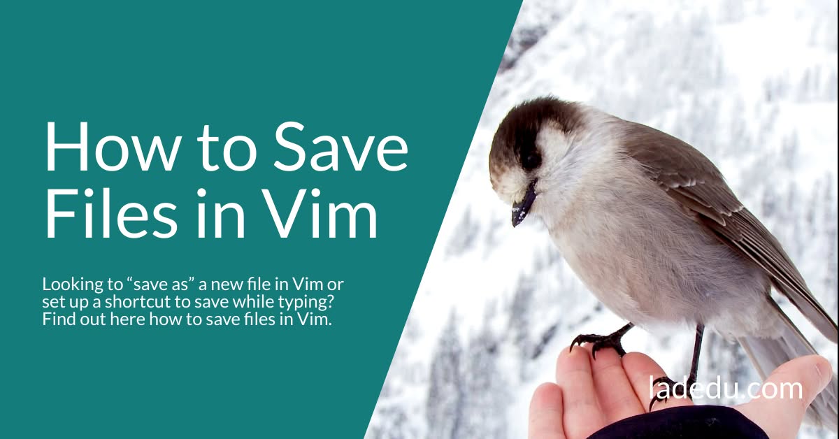 How to Save Files in Vim