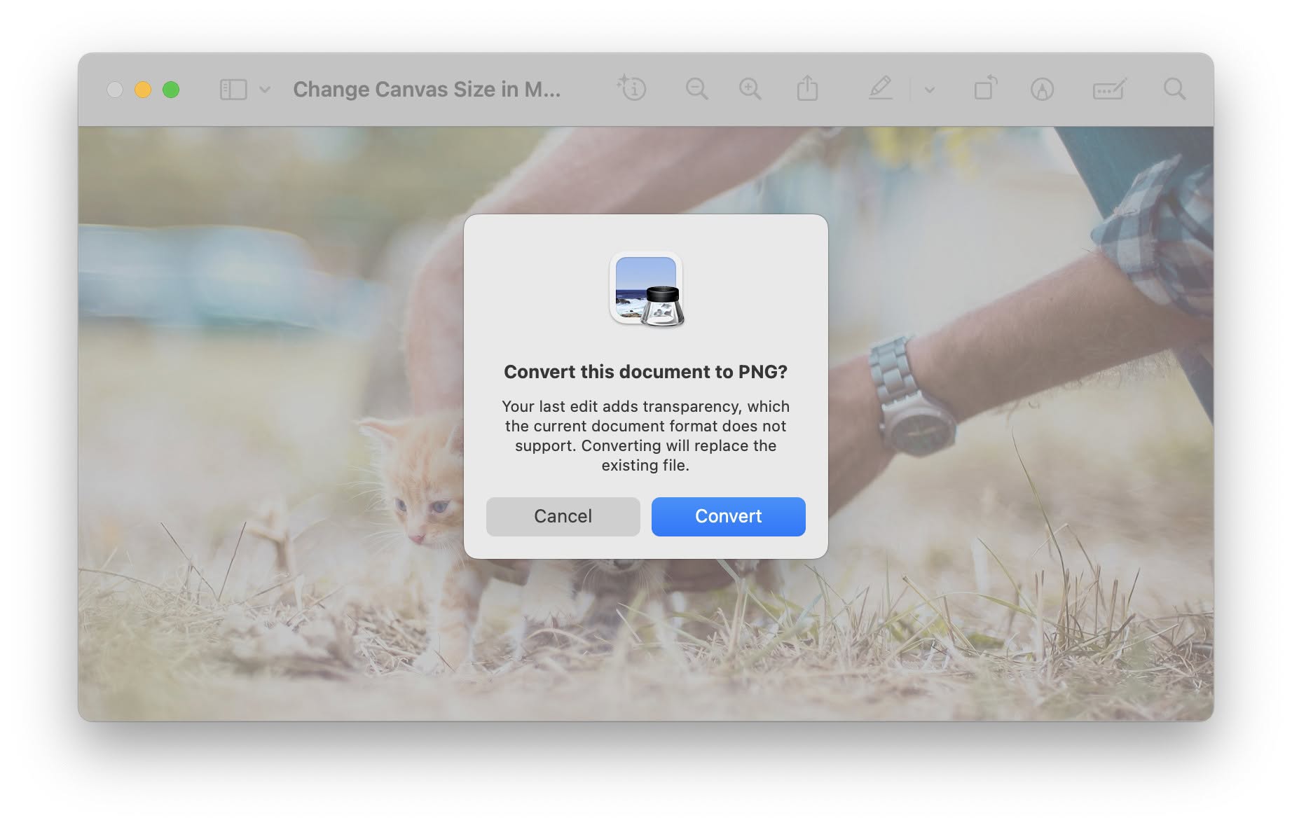 Convert an image to PNG to expand its canvas with translucency