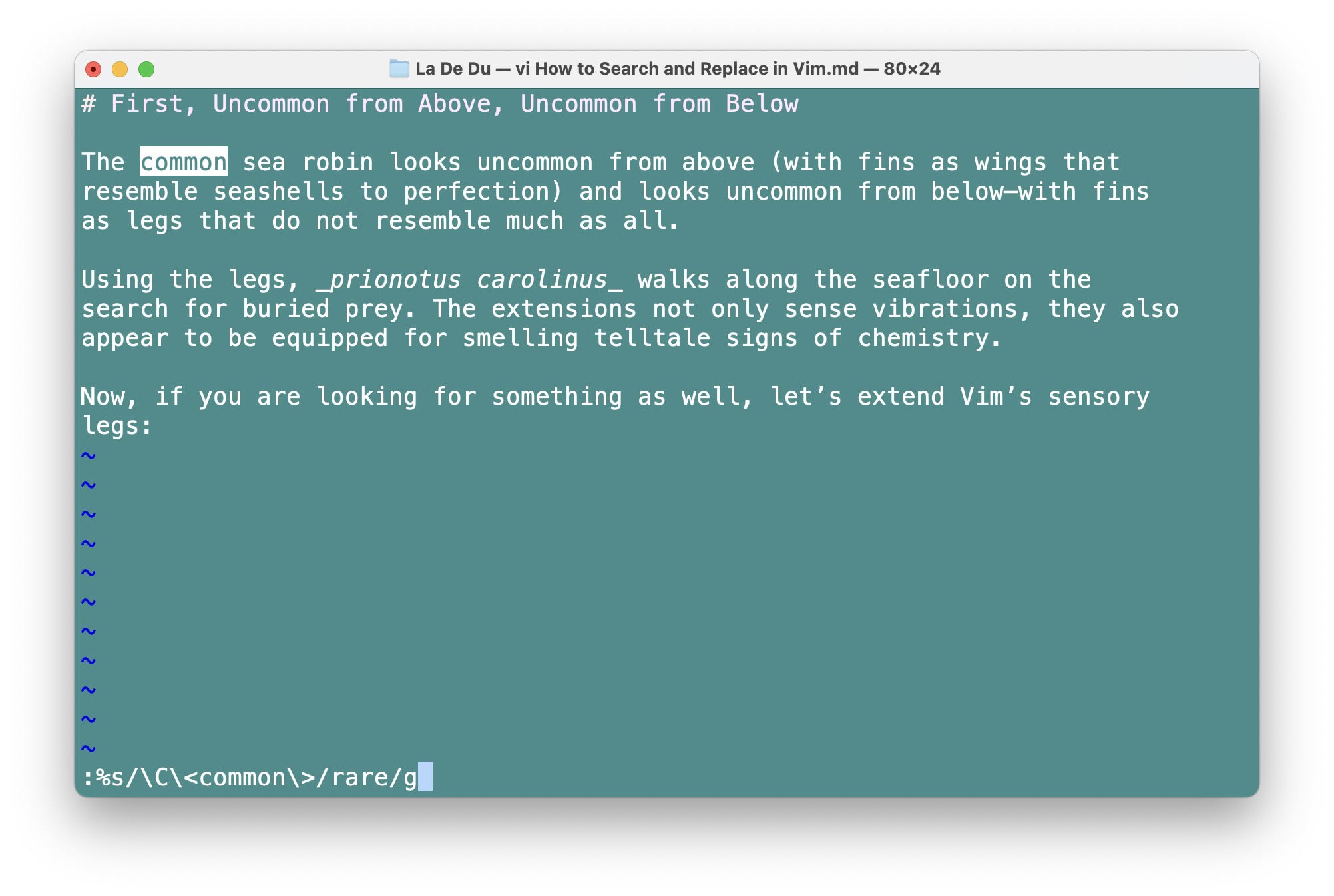 Replacing text in Vim