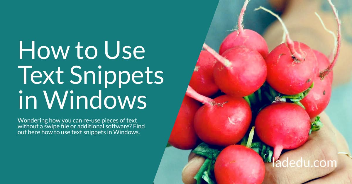 How to Use a Permanent Collection of Text Snippets in Windows