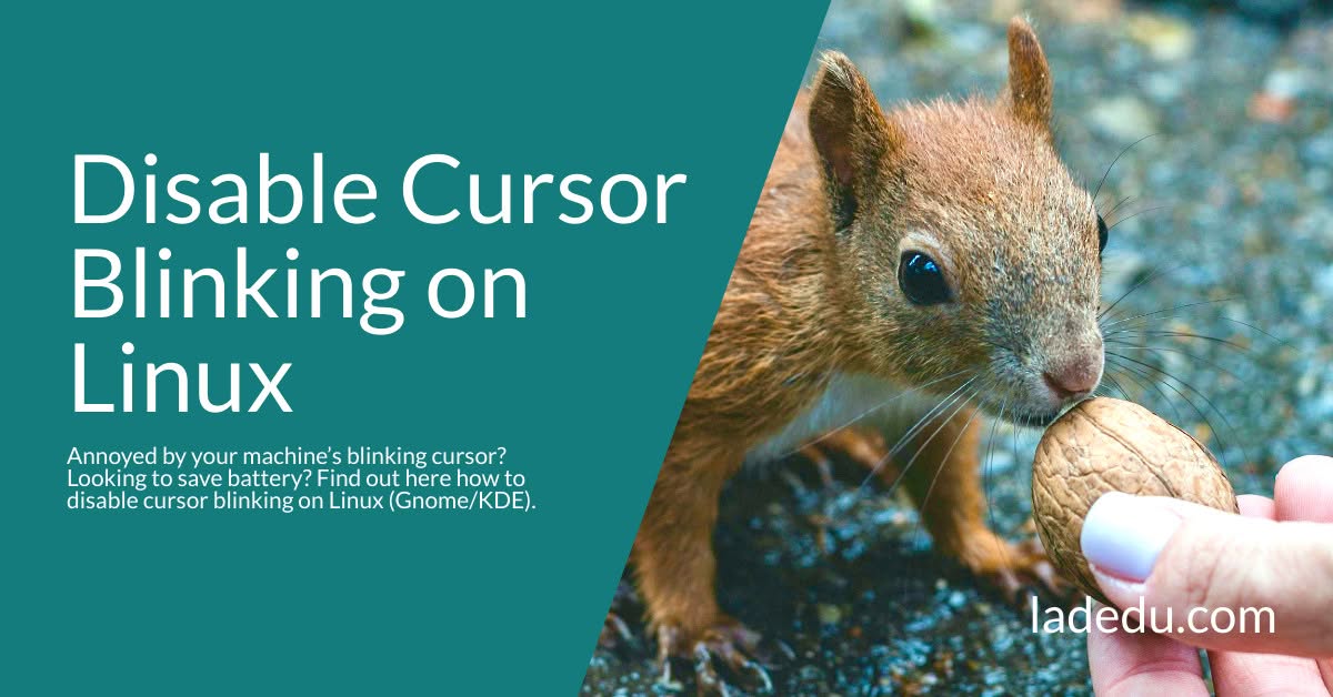 How to Disable Cursor Blinking on Linux
