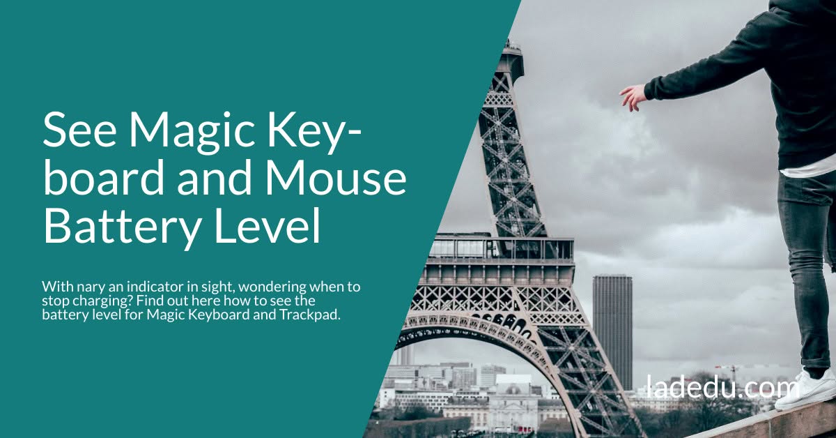 How to See a Magic Keyboard and Mouse Battery Charging Level