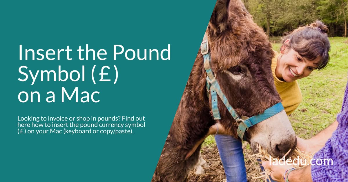 How to Insert the Pound Currency Symbol ( £ ) on a Mac