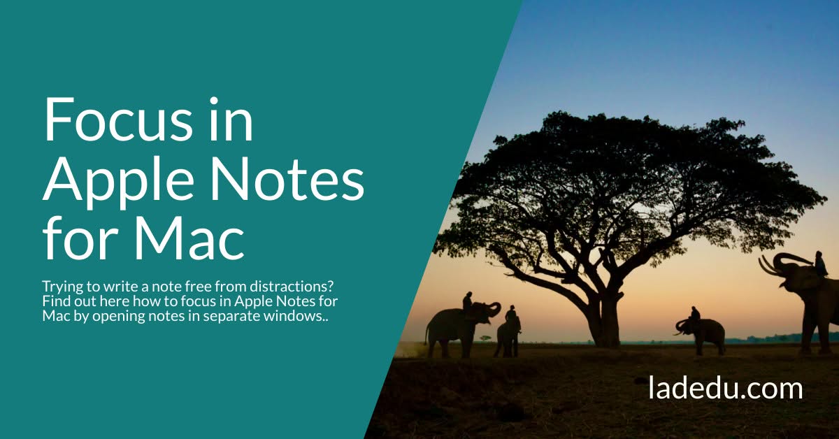 How to Focus in Apple Notes for Mac