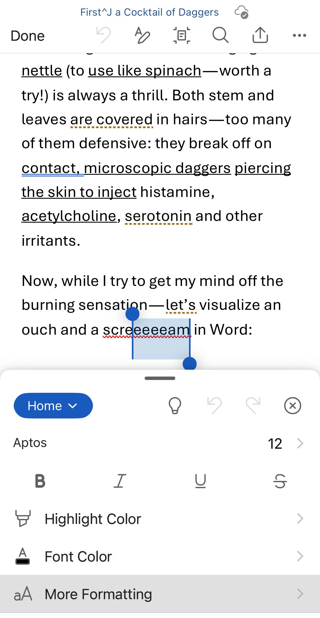 Select “More Formatting” on the “Home” tab of the ribbon in Word for iOS