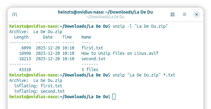 Using unzip to extract select files from a ZIP archive on Linux