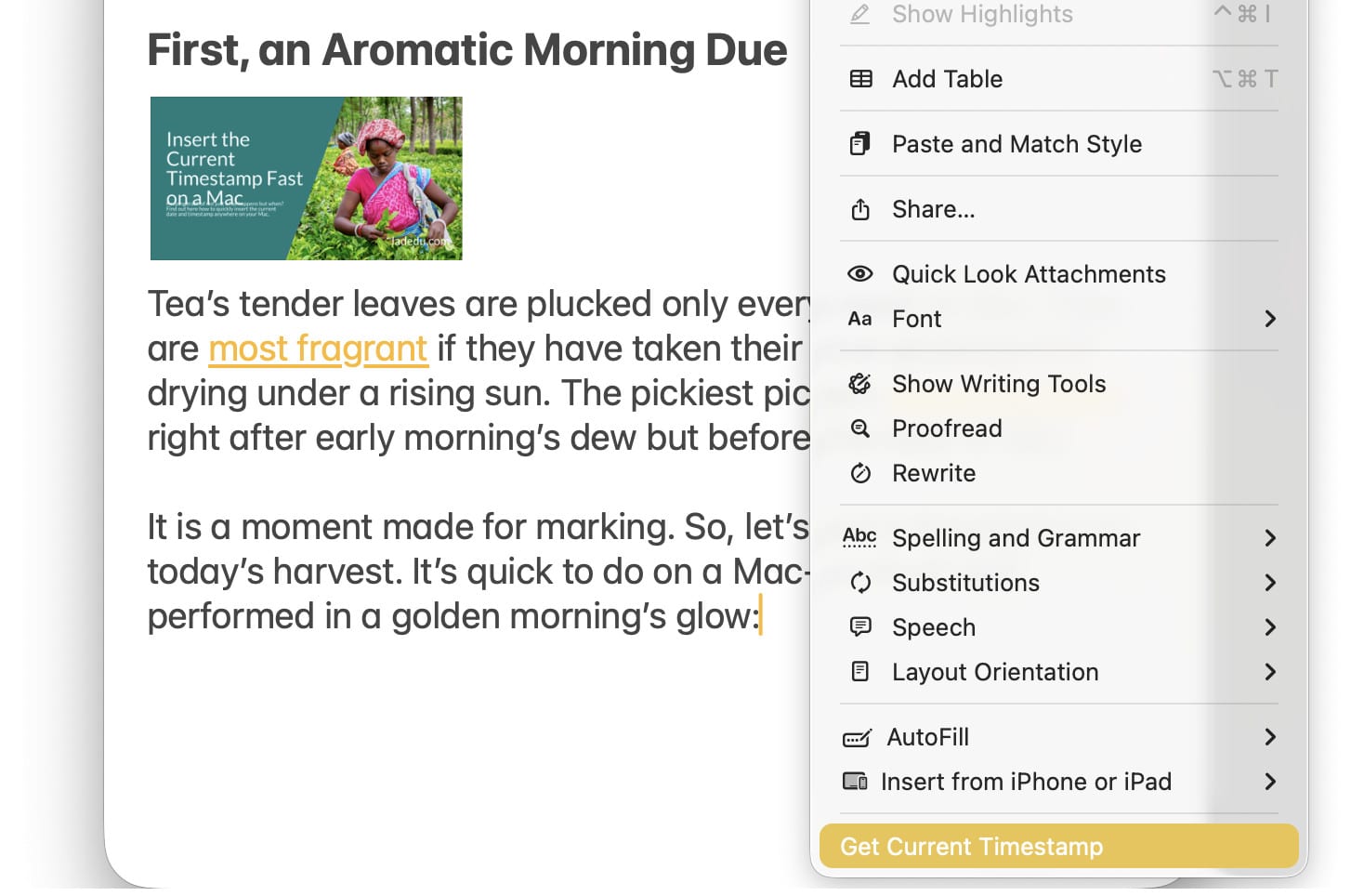 Inserting a timestamp using a quick action on a Mac