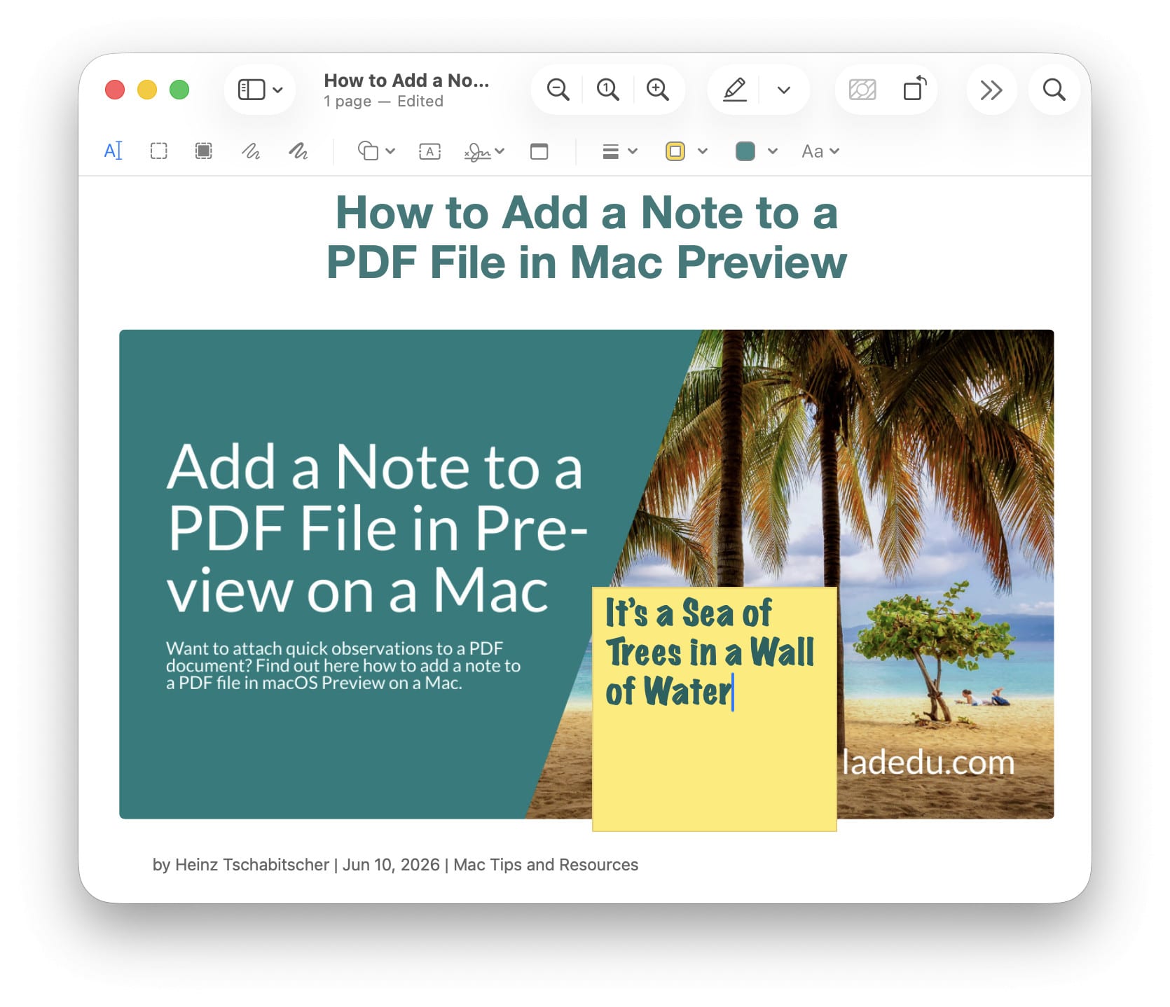 A PDF file with a note in Mac Preview (the font formatting is for easier visibility and will not be saved)